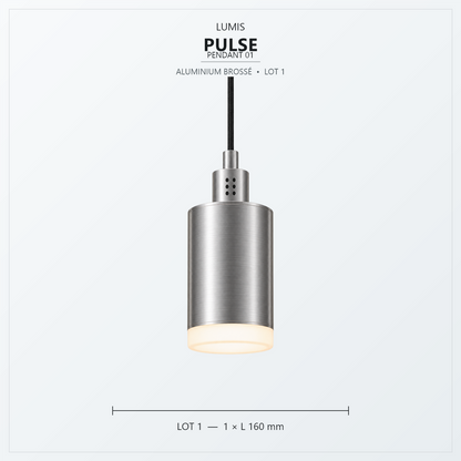 PULSE aluminium brossé, intégration intérieure 1