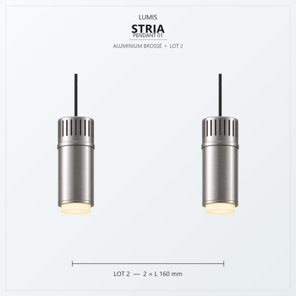 STRIA aluminium brossé, intégration intérieure 2